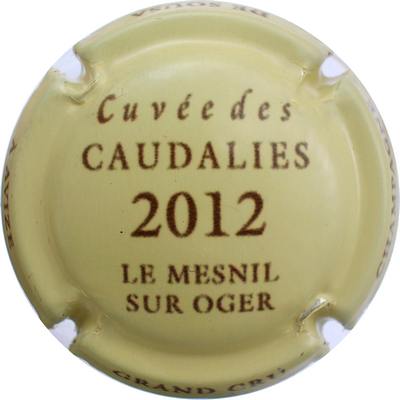 N°25b Cuvée Caudalies 2012, Le Mesnil sur Oger, Crème et marron
Photo Bernard DUQUENNE
