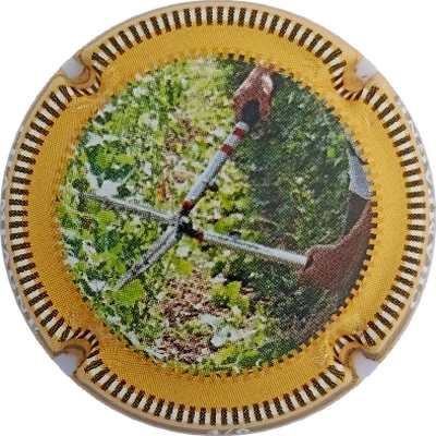 N°1332c Vignes champenoises 4-6 Contour  jaune
Photo Jacky MICHEL
