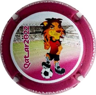 C130 QUATAR COUPE DU MONDE 2022 Mascotte
Photo Jacky MICHEL
