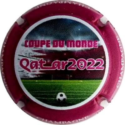 C130 QUATAR COUPE DU MONDE 2022 Terrain
Photo Jacky MICHEL
