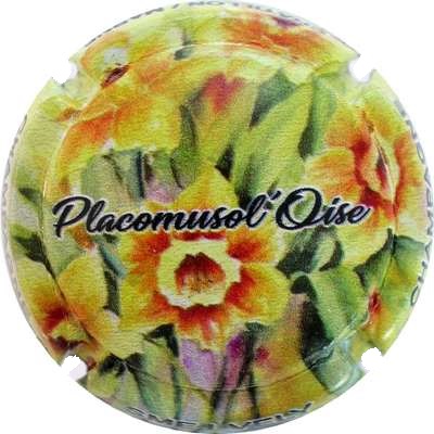 N°11c Placomusol'Oise, Fleurs jaunes
Photo Bernard DUQUENNE
