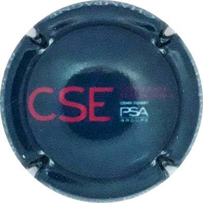 N°02a Bleu CSE PSA
Photo Martine PUPIN
