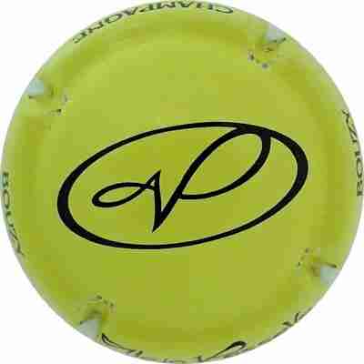 N°15i Vert-jaune et noir
Photo Martine PUPIN
