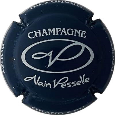 N°21 Bleu foncé et blanc
Photo Jacky MICHEL
