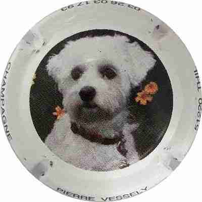 N°11 Chien, Contour blanc
Photo Martine PUPIN
