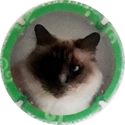 N°NR FIFI 2021, Contour vert, Tirage 500 sur contour
Photo Martine PUPIN
Mots-clés: NR