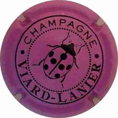 N°14d Mauve et noir
Photo Martine PUPIN
