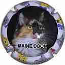 ARMAND_SERGE_NR_Serie_Main_Coon_88.jpg