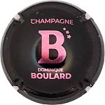 BOULARD_DOMINIQUE___FILLES_Ndeg11c_Noir_et_violet.jpg