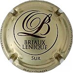 BRIAUX-LENIQUE_Ndeg14c_Sur2C_Or_et_marron.jpg