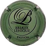 BRIAUX-LENIQUE_Ndeg16a_Passion2C_Vert_metallise_et_noir.jpg