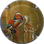 C110c_Canard_Mandarin.jpg