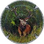 C110f_Grand_cerf.jpg