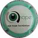 DEHU_LOUIS_NR_Eye_Hope_Foundation2C_contour_vert_pale.jpg