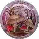 Nom du fichier=DELABRUYERE_BENOIT_NR_Serie_champignons_Contour_Rose.jpg
Taille du fichier=26Ko
Dimensions : 400x400
Ajouté le : 04 Mai 2018 DELABRUYERE_BENOIT_NR_Serie_champignons_Contour_Rose.jpg