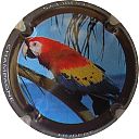 Nom du fichier=HUBERT_NR_Serie_de_6_28oiseaux29_02.JPG
Taille du fichier=24Ko
Dimensions : 400x400
Ajouté le : 26 Mai 2017 HUBERT_NR_Serie_de_6_28oiseaux29_02.JPG