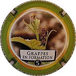 Nom du fichier=NdegNR_Les_stades_Phenologiques_05-12_Grappes_en_formation.jpg
Taille du fichier=34Ko
Dimensions : 400x400
Ajouté le : 04 Février 2023 NdegNR_Les_stades_Phenologiques_05-12_Grappes_en_formation.jpg