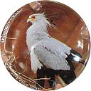Nom du fichier=PERSEVAL_BRUNO_NR_Serie_rapaces_01.JPG
Taille du fichier=31Ko
Dimensions : 400x400
Ajouté le : 02 Novembre 2017 PERSEVAL_BRUNO_NR_Serie_rapaces_01.JPG