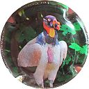 Nom du fichier=PERSEVAL_BRUNO_NR_Serie_rapaces_04.JPG
Taille du fichier=30Ko
Dimensions : 400x400
Ajouté le : 02 Novembre 2017 PERSEVAL_BRUNO_NR_Serie_rapaces_04.JPG