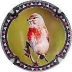 Nom du fichier=TUAL_NR_Serie_de_6_28oiseaux29_Contour_vert_fonce.jpg
Taille du fichier=22Ko
Dimensions : 400x400
Ajouté le : 13 Mai 2021 TUAL_NR_Serie_de_6_28oiseaux29_Contour_vert_fonce.jpg