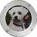 Nom du fichier=VESSELY_P__ET_F__NR_Chien2C_Contour_blanc.jpg
Taille du fichier=22Ko
Dimensions : 400x400
Ajouté le : 11 Mai 2018 VESSELY_P__ET_F__NR_Chien2C_Contour_blanc.jpg