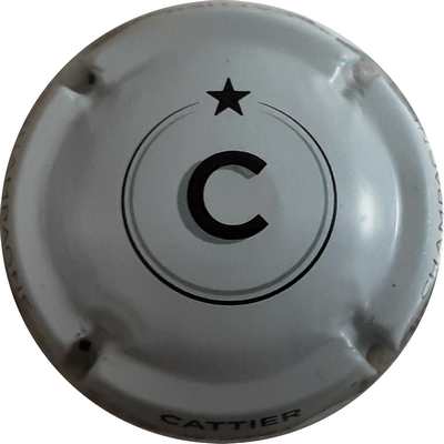 N°34c Gris clair et noir
Photo MH Millot
