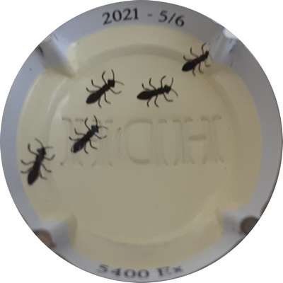 N°149d Verso crème avec fourmis
Photo MH Millot
