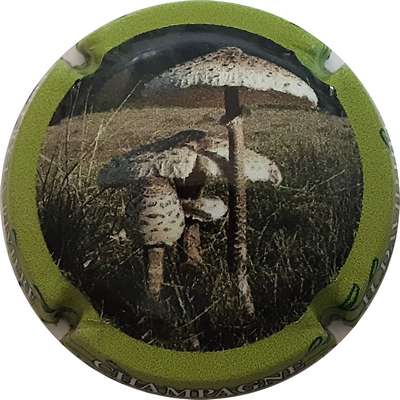 N°179h Contour vert, au verso " La Goulemelle, 2023-9/9, 5400 exemplaires
Photo MH Millot

