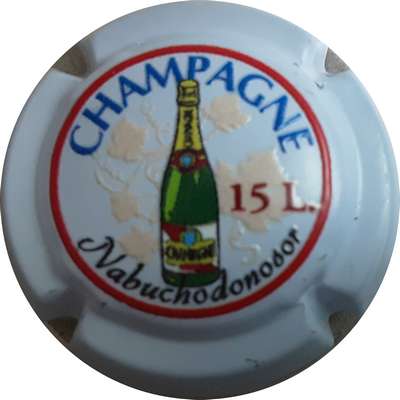 NR Série les flaconnages, fond blanc, motif en relief, 15 Litres, Nabuchodonosor
Photo MH Millot
Mots-clés: les flaconnages;les contenants