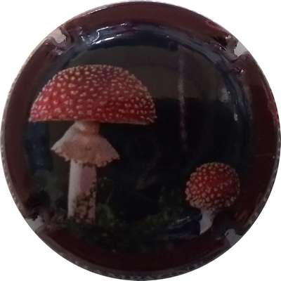 N°179a Contour bordeaux, L'Amanite Tue-Mouche, 2023-2/9, 5400 exemplaires
Photo MH Millot
