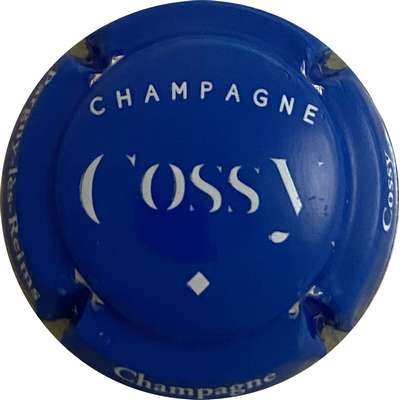 N°25b Bleu et blanc
Photo MH Millot
