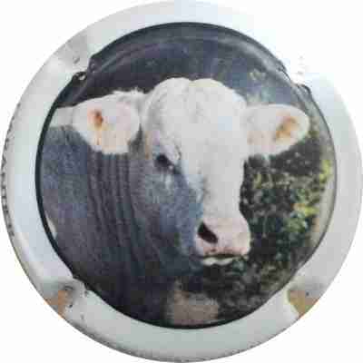 N°01 Vache, Contour blanc
Photo MH Millot
