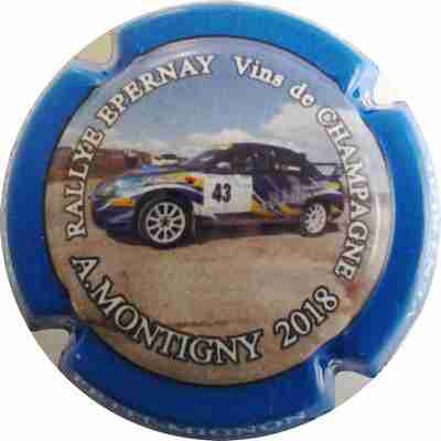 N°19e Epernay rallye 2018, A.Montigny, personnalisée Petit-Mignon
Photo MH Millot
