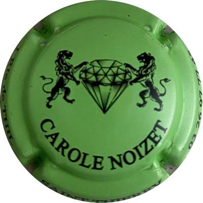 N°04t Vert-pomme et noir
Photo MH Millot
