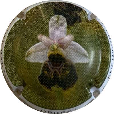 N°10a Orchidée des Marais
Photo MH Millot
