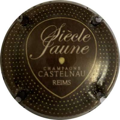 N°13b Marron foncé, centre violet foncé
Photo MH Millot
