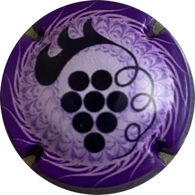 N°14e Série de 6 (grappe), contour violet
Photo MH Millot
