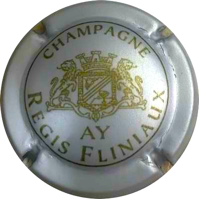 N°24oNR Gris mat et vert
