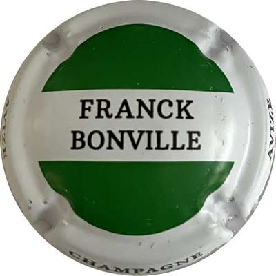 N°26 Vert,noir et blanc
Photo MH Millot
