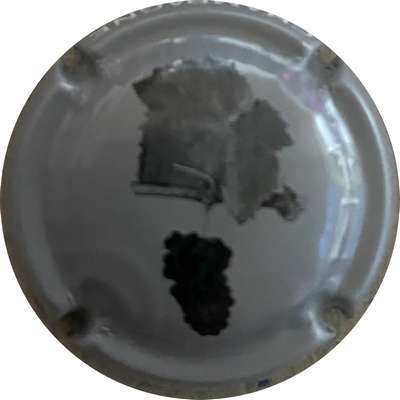 N°26c Grappe de raisin noir et feuille, fond gris
Photo MH Millot
