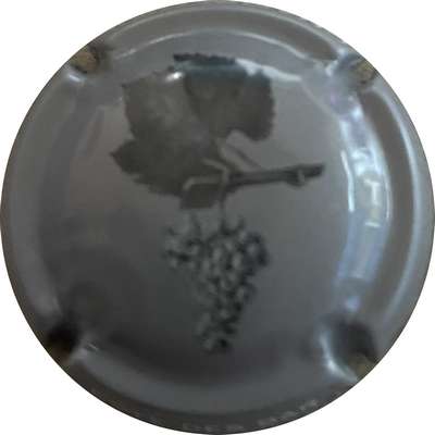 N°27c Grappe de raisin blanc et feuille, fond gris
Photo MH Millot
