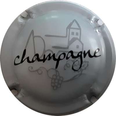 N°02a Champagne, Argent et noir
Photo MH Millot
