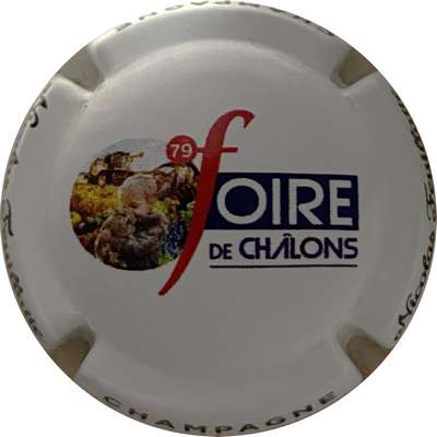 N°48s 79 ème foire de Châlons
Photo MH Millot
