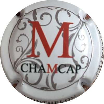 N°64c Puzzle ChamCap, 4/7, M
Photo MH Millot

