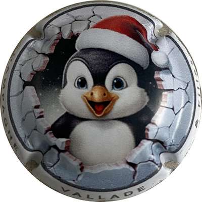 N°NR Série de 6 Noël, sur contour VALLADE & Filles, cercle gris
Photo MH Millot
Mots-clés: NR