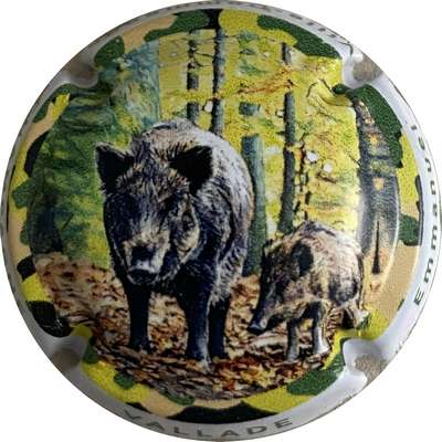 N°NR Série de 6 sangliers, sur contour VALLADE Emmanuel, lettres vert-foncé
Photo MH Millot
Mots-clés: NR