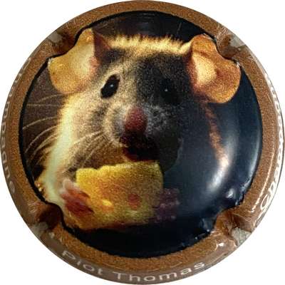 N°NR Série souris 2025, contour marron clair
Photo MH Millot
