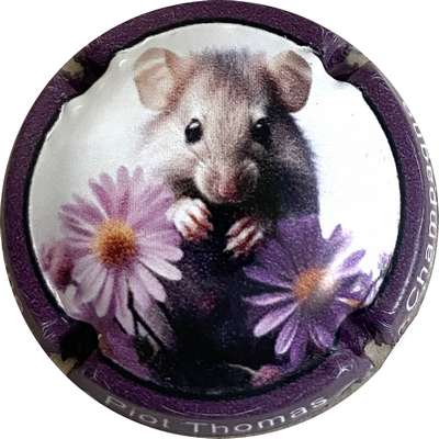 N°NR Série souris 2025, contour violet
Photo MH Millot
