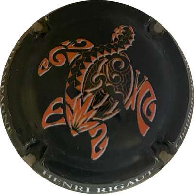 N°18a Tortue, noir et orange
Photo MH Millot
