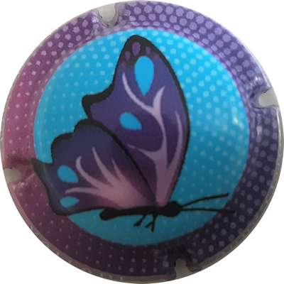 N°10d Papillon, contour violet et blanc
Photo MH Millot
